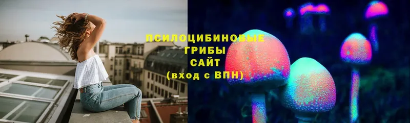 купить закладку  Валуйки  Галлюциногенные грибы Cubensis 